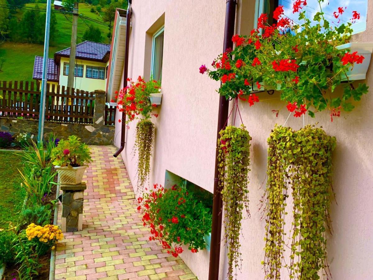 Anelisse Inn Moeciu De Sus Bagian luar foto