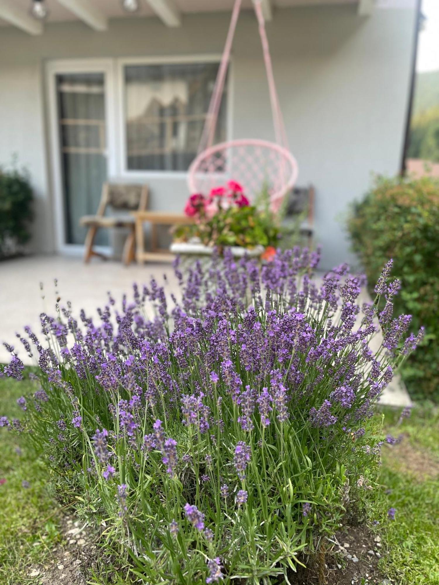 Anelisse Inn Moeciu De Sus Bagian luar foto
